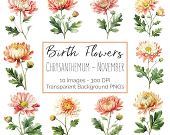 Bundle de novembre chrysanthème naissance fleur Clipart PNG, aquarelle fleurs graphiques, novembre anniversaire fleur Clipart usage Commercial