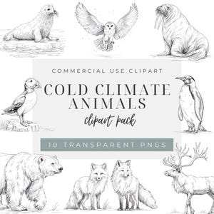 May include: A digital collection of black and white line art illustrations featuring cold climate animals including a seal, owl, walrus, puffin, penguin, polar bear, two foxes, and a reindeer, with text reading COLD CLIMATE ANIMALS clipart pack.