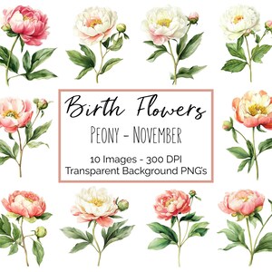 Clipart pivoine PNG | Fleur Novembre mois de naissance | 10 PNG floraux pivoine | Fond transparent | 300 ppp en téléchargement numérique