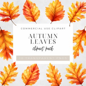 Autumn Leaves Clipart Pack, Fall Foliage Transparent PNGs for Scrapbooking and Crafts, Watercolor Oak & Maple Leaf Graphics for Invitations