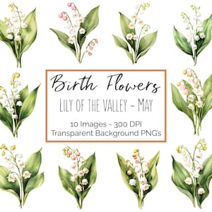 Clipart Muguet PNG | fleur mai mois de naissance | 10 fleurs de muguet | Fond transparent | 300 ppp en téléchargement numérique
