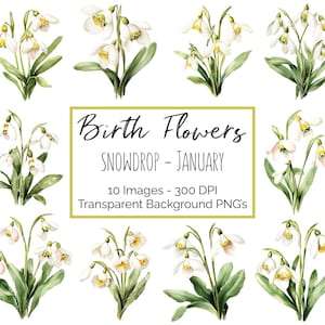 Clipart de perce-neige PNG | fleur Janvier mois de naissance | 10 fleurs perce-neige | Fond transparent | 300 ppp en téléchargement numérique