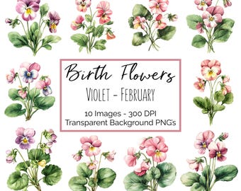 February Violet Birth Flower Clipart PNG Bundle, Watercolor Violet Flower Graphics, February Birthday Flower Clipart Commercial Use
