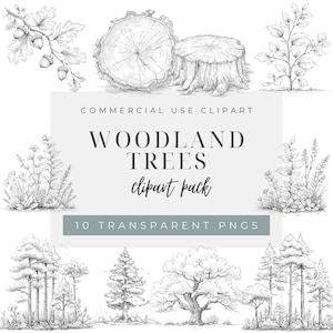 May include: A digital collection of black and white line art illustrations featuring woodland trees, stumps, acorns, and foliage. The text reads: COMMERCIAL USE CLIPART WOODLAND TREES clipart pack 10 TRANSPARENT PNGS. These are detailed sketches.