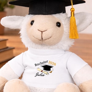 Peluche personalizado de graduación, regalo de fin de curso con nombre, amuleto de la suerte para diploma de bachillerato, licenciatura, máster, mascota 2026