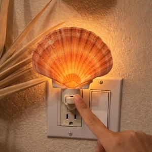 Könnte beinhalten: Ein Muschelnachtlicht mit einem orange-weißem Muscheldesign. Das Nachtlicht ist an einer Steckdose angeschlossen und eingeschaltet. Das Licht scheint durch die Muschel und beleuchtet den Raum. Ein dekorativer und funktionaler Einrichtungsgegenstand.