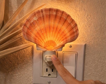 Natural Shell Night Light Plug In –  Seashell Night Lamp, Ocean Coastal Decor