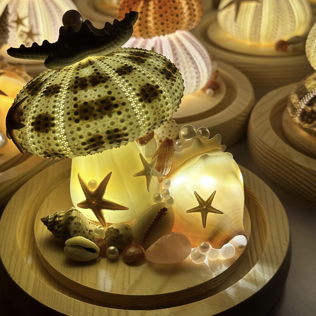 Mushroom Sea Urchin Shell Night Light, Handmade Ocean Decor Lamp ...