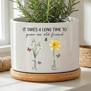 Puede incluir: Maceta de cerámica blanca con el texto "IT TAKES A LONG TIME TO grow an old friend." Presenta ilustraciones de flores, mariposas y los nombres "Sarah" y "Olivia." La maceta se asienta sobre una base de madera y contiene una planta verde.