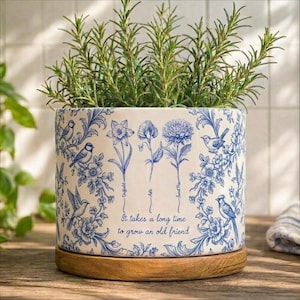 May include: A cylindrical ceramic planter with a blue and white floral and bird design, filled with rosemary. The planter sits on a wooden base and features the text "It takes a long time to grow an old friend."
