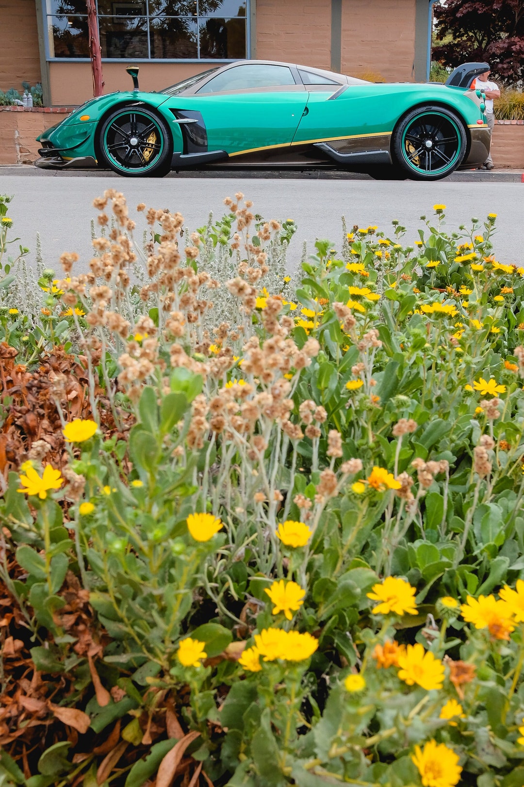 Pagani Huayra Wall Art BC Supercar, Fine Art , Carmel Car Week