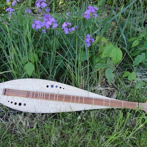 May include: A wooden dulcimer with a light-coloured body and a brown fretboard, resting on green grass. The instrument has a unique shape with sound holes and is surrounded by greenery and purple flowers.