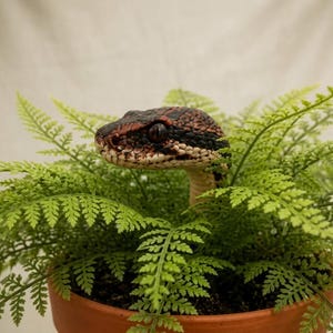 3D Printed Snake Planter Decoration, Realistic Snake Head Plant Pot Insert, Unusual Plant Gift