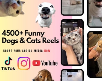 May include: A promotional image featuring a collection of funny dog and cat photos and videos displayed on smartphones. The text reads "4500+ Funny Dogs & Cats Reels" and "BOOST YOUR SOCIAL MEDIA NOW". Social media icons for TikTok, Instagram, and YouTube are also included.