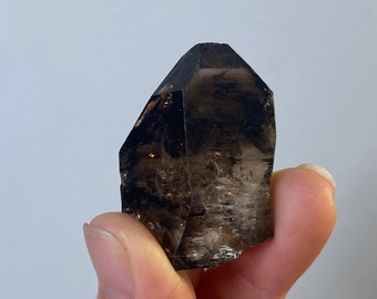 May include: A dark smoky quartz crystal with a pointed tip and a natural, rough texture.