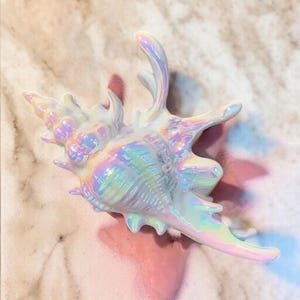 Könnte beinhalten: Eine dekorative Muschelfigur mit einer irisierenden, perlmuttartigen Oberfläche, die verschiedene Farben wie sanfte Rosa-, Blau- und Grüntöne reflektiert. Die Muschel hat eine texturierte, spiralförmige Oberfläche mit länglichen, spitzen Fortsätzen.
