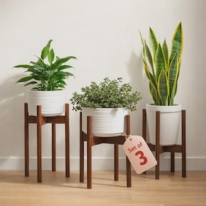 May include: Three potted plants on wooden stands. The plants are in white ceramic pots with a ribbed design. The stands are made of dark wood. The plants include a snake plant, a leafy green plant, and a small green plant. A tag reads "Set of 3".