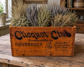 Antique Clicquot Club Soda Crate with Eskimo Logo