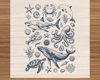 Vintage Sea Life DTF Print: Ocean Creatures Shark Whale Turtle Octopus