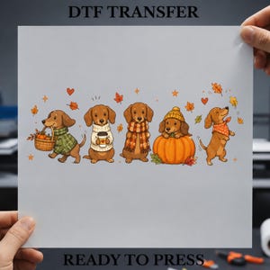 Op de afbeelding: Een DTF-transfervel met een cartoonillustratie van vijf bruine teckels in herfstkleding. De honden zijn afgebeeld met een mand vol pompoenen, een koffiebeker, een geruite sjaal, een pompoen en een bandana met stippen, omringd door herfstbladeren.