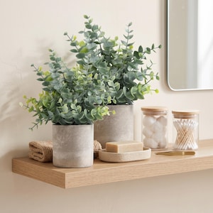 May include: Two artificial eucalyptus plants in cylindrical concrete-style pots, a rectangular bar of soap on a matching oval dish, a folded beige cloth, and two clear glass jars with bamboo lids containing cotton balls and cotton swabs.