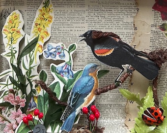 Altered cigar box art - Joseph Cornell Inspired, sculpture, mixed media