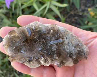 Smoky Quartz from Brazil, a beautiful dark crystal with a unique, smoky hue and a powerful grounding energy (726)