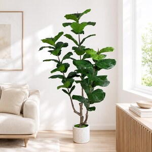 Artificial Fiddle Leaf Fig Tree, 6ft UV Resistant Faux Plant, White Woven Planter