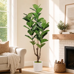 May include: A tall artificial fiddle leaf fig plant with large, glossy, dark green violin-shaped leaves on a slender brown trunk. The plant is potted in a white cylindrical container with a textured, woven-style pattern and a green mossy base.