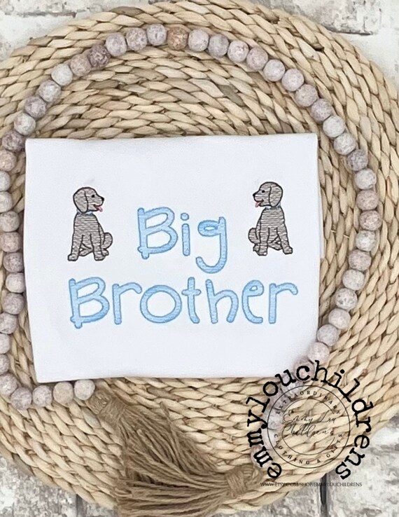 Big Brother Outfit, Big Brother Shirt, Little Brother, Coming Home Outfit, Big Brother Gift, Little Brother Gift