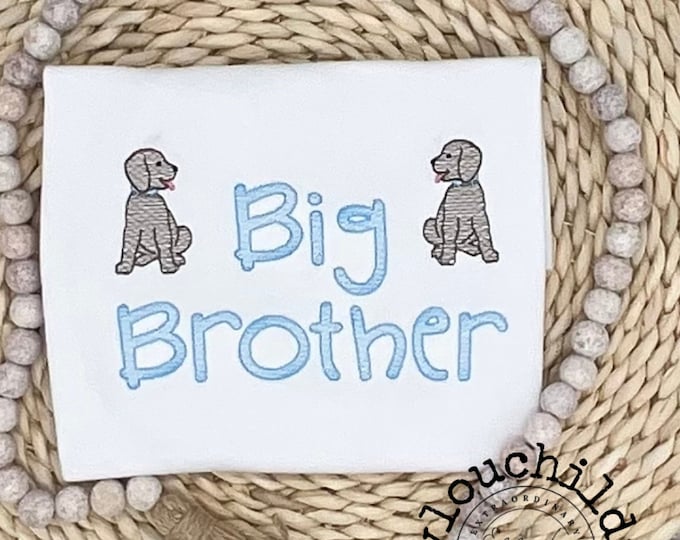 Big Brother Outfit, Big Brother Shirt, Little Brother, Coming Home Outfit, Big Brother Gift, Little Brother Gift