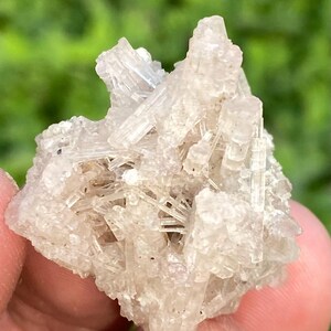 May include: A close-up of a light-colored mineral specimen. The crystal cluster features numerous, elongated, translucent crystals radiating from a central point. The crystals have a slightly rough texture and a pale, off-white hue. The background is blurred.