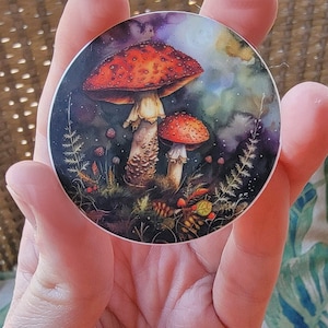 Sticker champignon rouge, sticker champignon amanite, sticker champignon champignon rouge blanc, autocollant étanche bouteille d'eau pour ordinateur portable pour voiture agaric anti-mouches