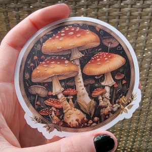 Sticker champignon amanite, champignon rouge, sticker champignon rouge blanc, chapeau champignon, autocollant imperméable à l'eau pour ordinateur portable, bouteille d'eau pour voiture