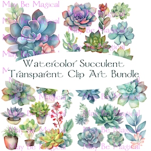 Clipart de acuarela de suculentas, arte de cactus en acuarela, clipart transparente, paquete de suculentas PNG, clipart mágico, descarga instantánea