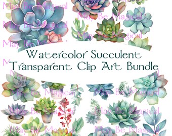Succulent Watercolor Clipart, Watercolor cactus plan art, Transparent clipart,  Succulent Bundle PNG, Magic clipart, Instant Download