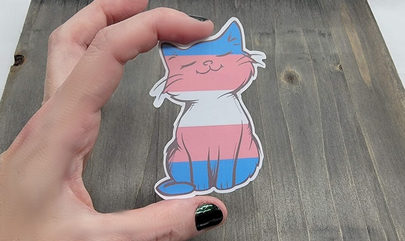 Op de afbeelding: Een sticker met een cartoonkat met een transgender pride flag ontwerp. De kat zit met zijn ogen dicht en een glimlach op zijn gezicht.