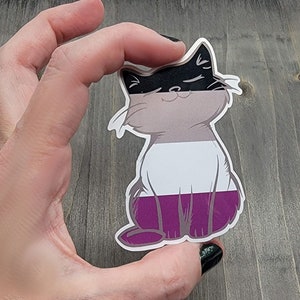 Op de afbeelding: Een sticker met een kat op de asexuele pride-vlag. De kat zit met zijn rug naar de kijker en heeft een zwart-wit gezicht, een lichtgrijs lichaam, een witte streep en een paarse streep.