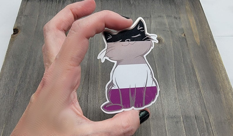 Op de afbeelding: Een sticker met een kat op de asexuele pride-vlag. De kat zit met zijn rug naar de kijker en heeft een zwart-wit gezicht, een lichtgrijs lichaam, een witte streep en een paarse streep.
