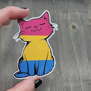 Op de afbeelding: Een sticker van een cartoonkat met roze, gele en blauwe strepen, die de panseksuele pride-vlag voorstellen.