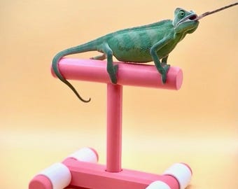 Freestanding Reptile Perch for Chameleon and Gecko Enclosures, Desks & Countertops