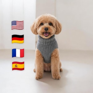 Könnte beinhalten: Ein kleiner, hellbrauner Hund trägt einen grauen Rollkragenpullover und lächelt. Der Hund befindet sich in einem hellen Raum mit weißem Boden und weißer Wand. Flaggen der Vereinigten Staaten, Deutschlands, Frankreichs und Spaniens befinden sich in der oberen linken Ecke.