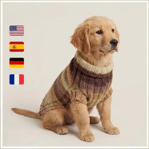 Könnte beinhalten: Ein Golden Retriever-Welpe trägt einen braun-beigen gestreiften Pullover. Der Pullover hat eine gerippte Textur und einen hohen, umgeschlagenen Kragen. Der Hund sitzt und schaut zur Seite.