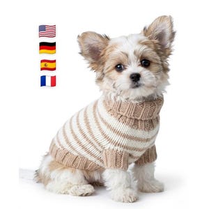 Puede incluir: Un perro pequeño con un suéter a rayas beige y blanco con cuello alto. El perro está sentado y mirando a la cámara. Banderas de Estados Unidos, Alemania, España y Francia en el fondo.