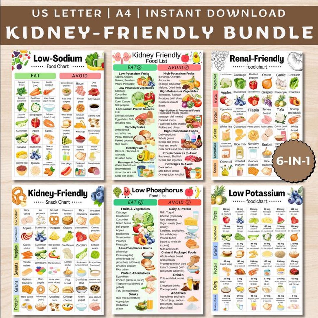 Kidney Friendly Food Chart Bundle, Low Potassium Grocery List, Renal ...