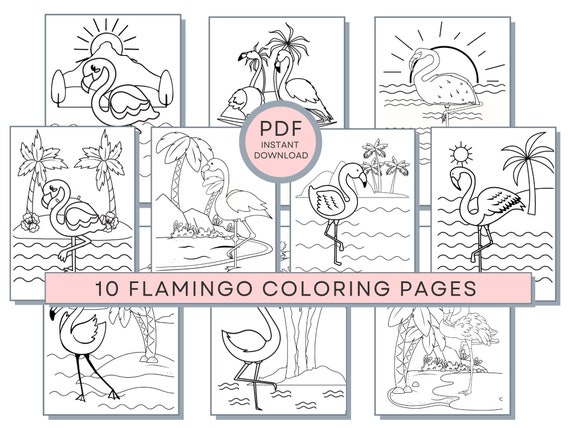 Flamingo Coloring Pages, Flamingo PDF, Flamingo Printables, Flamingo Coloring Sheets, Flamingo Activity Page, Flamingo Downloadable
