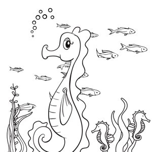 May include: A black and white line drawing of a seahorse swimming in the ocean. The seahorse is surrounded by smaller fish and bubbles. There are also seaweed plants in the background.