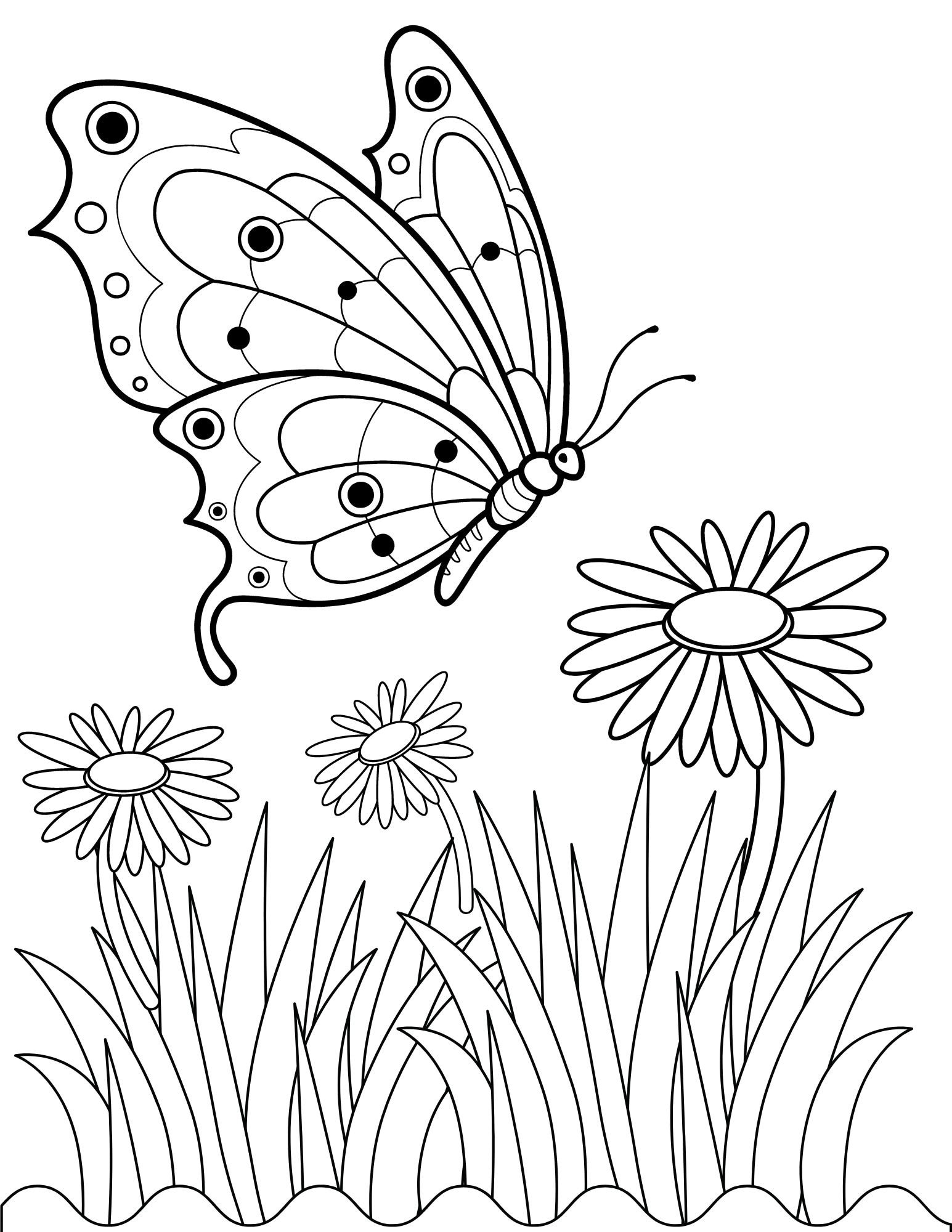 Butterfly Coloring Pages, Butterfly PDF, Butterfly Printables, Butterfly Coloring Sheets, Summer ...
