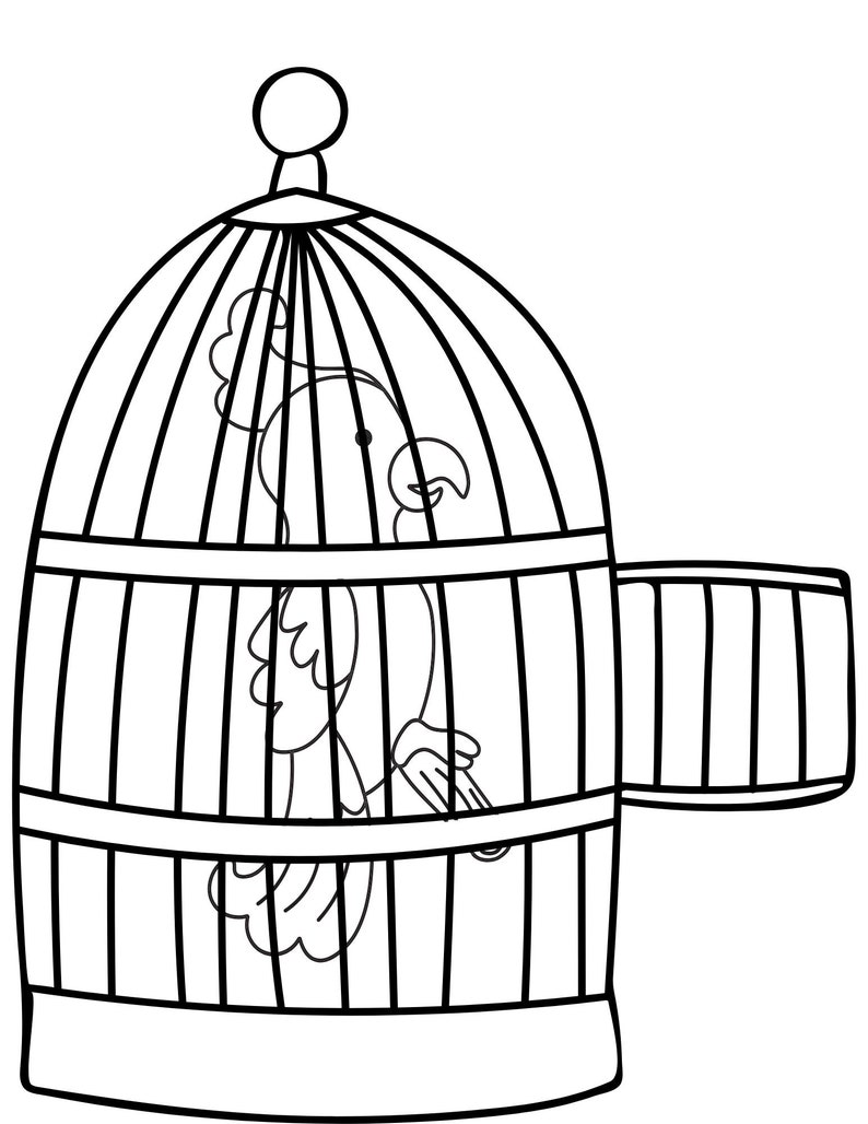 Parrot Coloring Pages Parrot PDF Parrot Printables Parrot - Etsy
