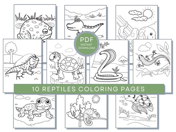 Reptile Coloring Pages, Reptile Printables, Reptile Coloring Sheets, Crocodile Coloring Pages, Reptile Activity Page, Reptile Downloadable